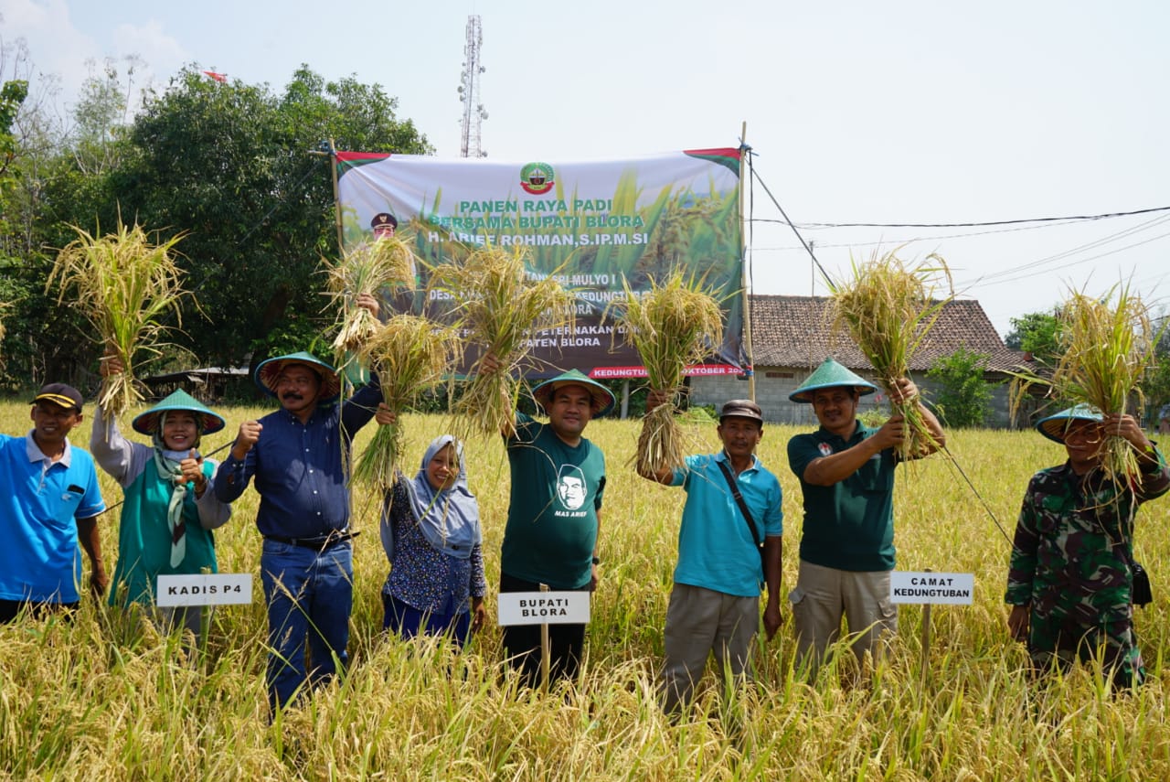 Disela-sela melaksanakan panen padi organik bersama petani di Desa Ngraho, Kecamatan Kedungtuban, Sabtu (21/10/2023) sore, Bupati Blora, H. Arief Rohman minta Kedungtuban bisa menjadi contoh pertanian organik.